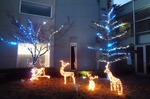 クリスマスイルミネーション2012